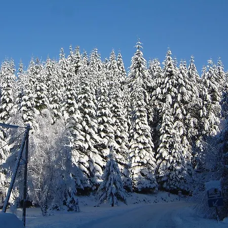 Гостевой дом Maison Neuve Grandval