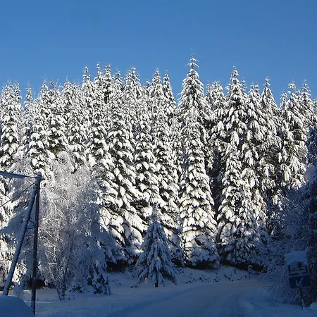 Guest house Maison Neuve Grandval