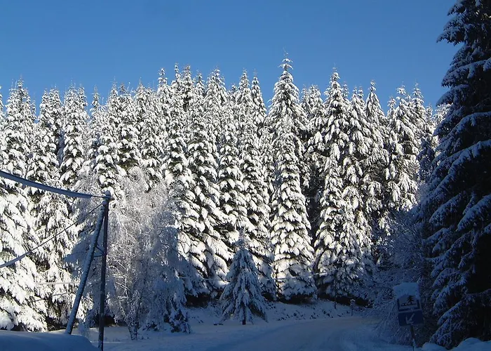 Pensjonat Maison Neuve Grandval